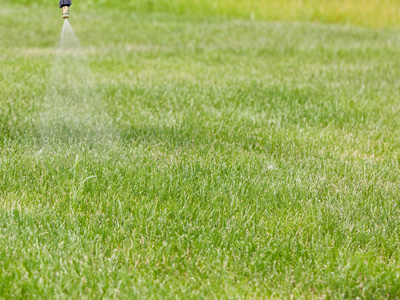 Lawn Fertilization, Big Rapids, MI Lawn Fertilization, Big Rapids, MI