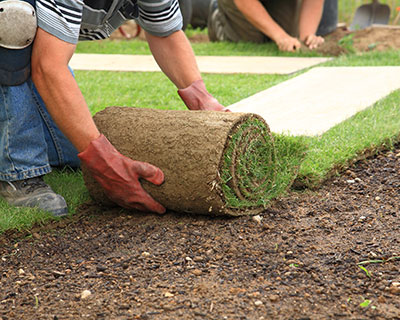 Lawn Installation Big Rapids, MI