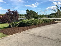 Mulch Beds