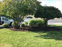 Mulch Beds