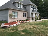 Landscape Renovation