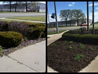 Mulch Beds