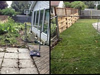 Landscape Renovation