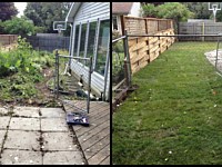 Landscape Renovation