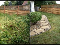 Landscape Renovation