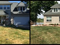 Landscape Renovation